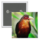 Tropical Bird cool colourful exotic painting Pinback Buttons