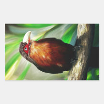 Tropical Bird cool colourful exotic painting Rectangular Sticker