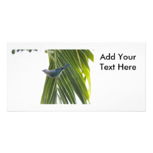 Tropical Bird Picture on Palm Tree Custom Photo Card