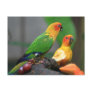 Tropical Bird Postcard