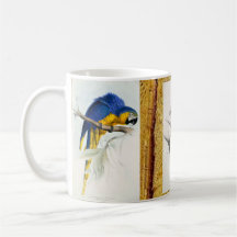 Tropical Birds Mug