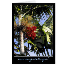 Tropical Breeze Card