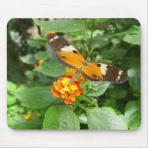 tropical butterfly mouse pad