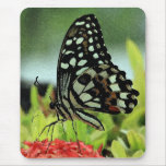 Tropical Butterfly Mousepad