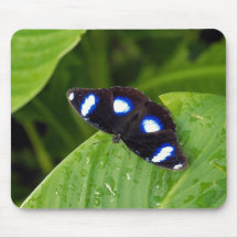 Tropical butterfly mousepads