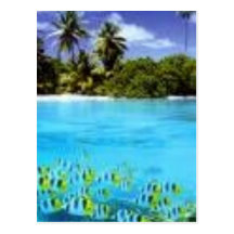 Tropical Card Postcards