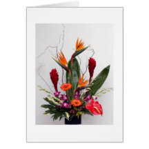 Tropical Cards