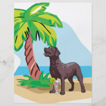tropical chocolate lab flyer design