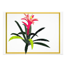 Tropical Christmas Bromeliad Custom Invitations