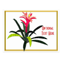 Tropical Christmas Bromeliad Post Cards