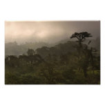 Tropical Cloud Forest at Sunset Photographic Print