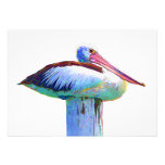 Tropical Coloured Pelican Custom Announcement