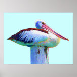 Tropical Coloured Pelican Print