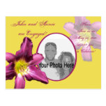 Tropical Daylily Post Card