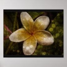 tropical dusk poster
