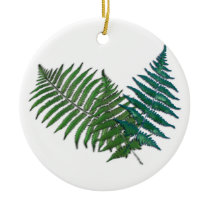 Tropical Fern Trio
