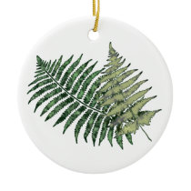 Tropical Ferns Duo
