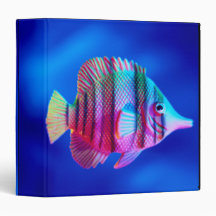 Tropical Fish 3 Ring Binders