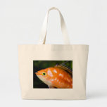 Tropical Fish Bags