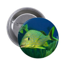 Tropical Fish buttons
