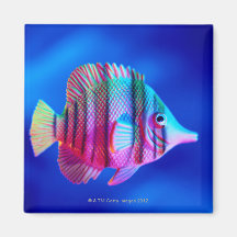 Tropical Fish Fridge Magnet
