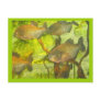 Tropical fish postcards