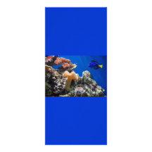 TROPICAL FISH SEALIFE CORAL DIGITAL REALISM OCEAN CUSTOM RACK CARDS