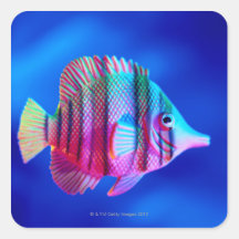 Tropical Fish Square Stickers