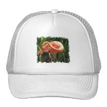 Tropical Flamingo Baseball Cap Mesh Hat