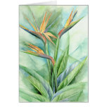 Tropical Flower Bird Of Paradise Painting - Multi Greeting Card