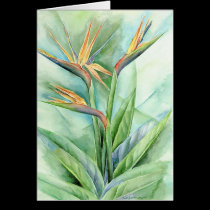 Tropical Flower Bird Of Paradise Painting - Multi cards