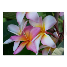 Tropical Flower Greeting Card