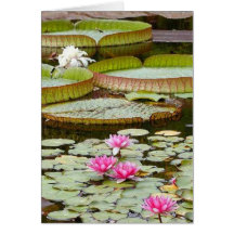 tropical flowers greeting card