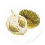 Tropical fruit - Durian Round Sticker