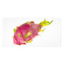 Tropical fruit - Pitaya Picture Card