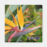 Tropical Hawaiian Flowers Bird-Of-Paradise Kauai Fridge Magnet