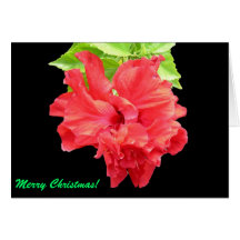 Tropical Hibiscus Christmas Card