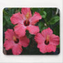 Tropical Hibiscus Collection Mousepads