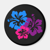 Tropical Hibiscus Flowers in Bright Colours Fridge Magnets