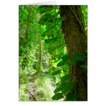 Tropical Hiking Trail Greeting Card