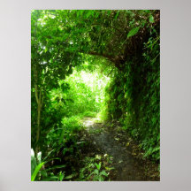 Tropical Hiking Trail Print