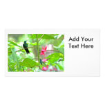Tropical Hummingbird and Flowers Picture Card