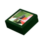 Tropical Hummingbird at Feeder Keepsake Boxes