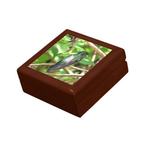 Tropical Hummingbird Picture Jewelry Box