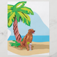 Tropical Irish Setter Full Color Flyer