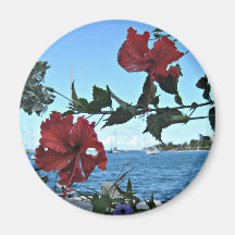 Tropical Island Flowers Magnets