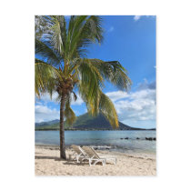 Tropical Island Lifestyle Postcard