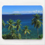Tropical Island Mousepad