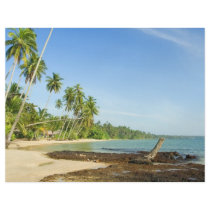 Tropical Landscape Full Color Flyer