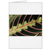 Tropical leaf card